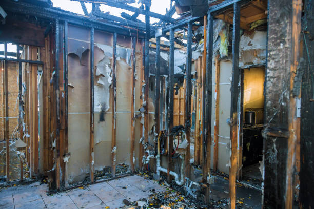 Professional Smoke Damage Removal technician working in Altoona, WI